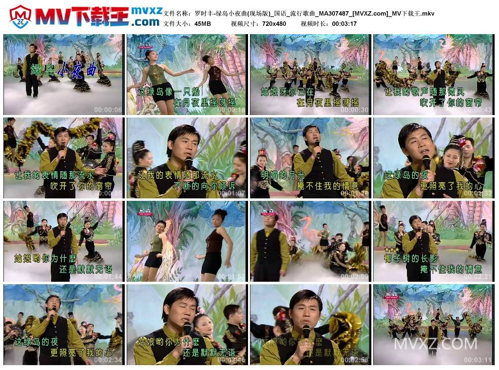 罗时丰-绿岛小夜曲(现场版)_国语_流行歌曲_MA307487